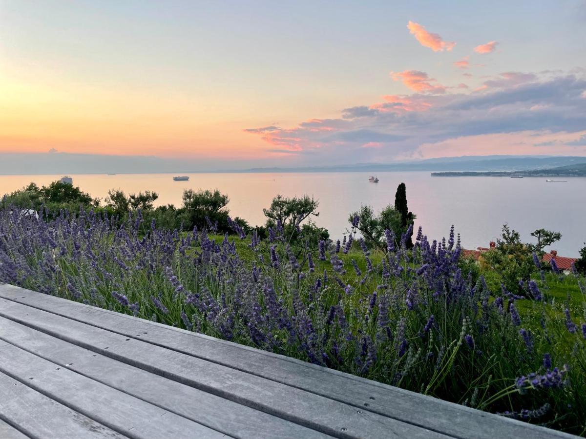 The View Koper